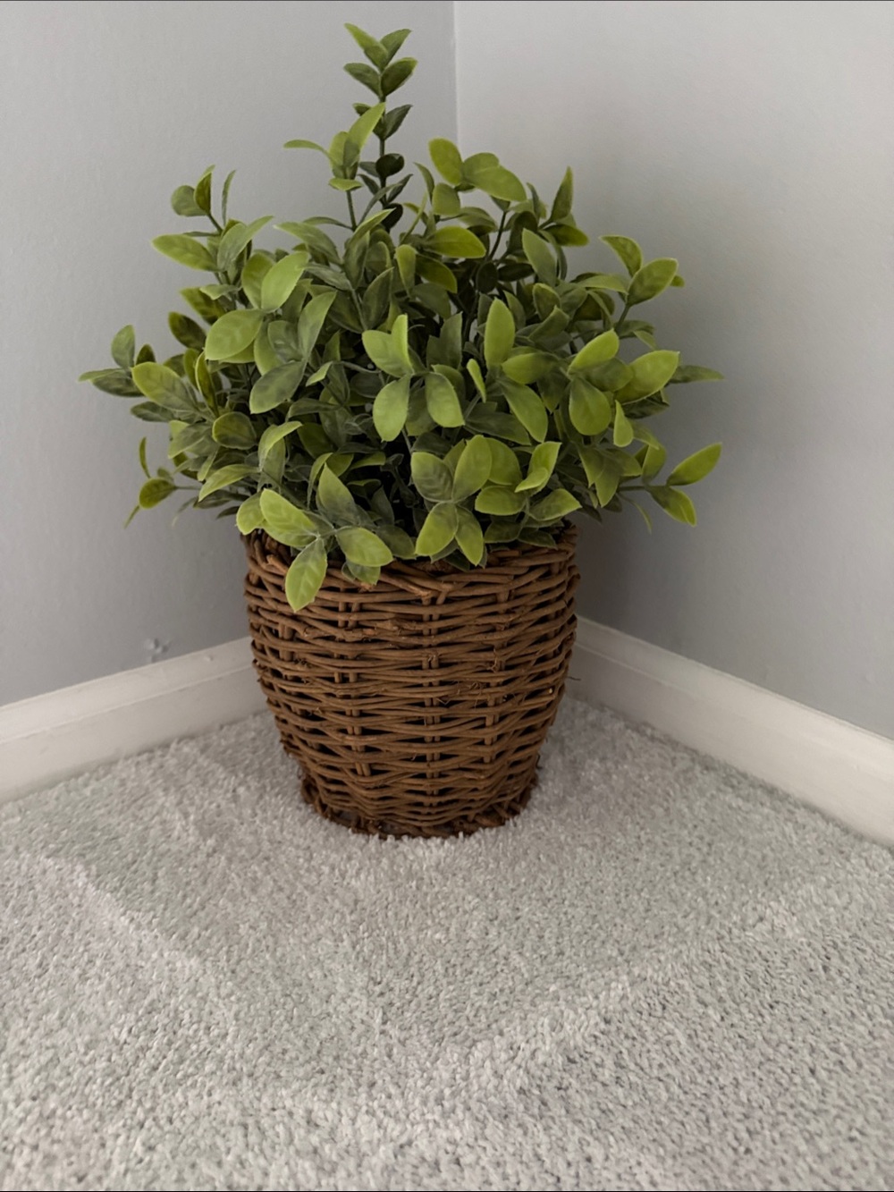 Green Faux Plant in Woven Brown Basket - Home Accents - about 18 inches tall